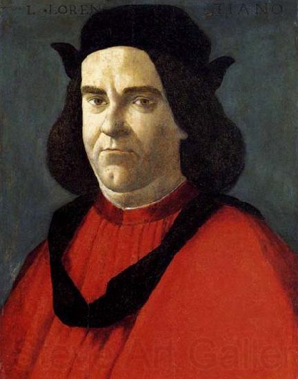 BOTTICELLI, Sandro Portrait of Lorenzo di Ser Piero Lorenzi France oil painting art